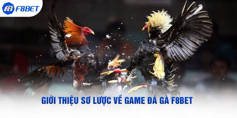 Sảnh đá gà F8bet nổi tiếng tại châu Á