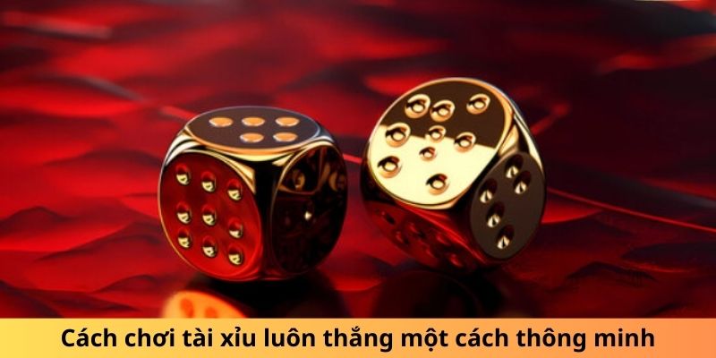 Anh em đặt cược Tài Xỉu với chiến thuật hiệu quả